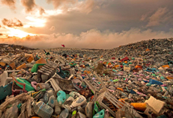 Как мусор влияет на экологию?